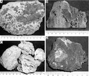 Second thumbnail for: Sedimentary Processes in Modern and Ancient Oceani...