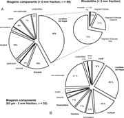 Third thumbnail for: Sedimentology and Acoustic Mapping of Modern Rhodo...