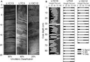 Second thumbnail for: Impact of Local Morphology on Sedimentation in a S...