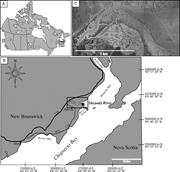 First thumbnail for: An Ichnological and Sedimentological Facies Model ...