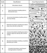 Second thumbnail for: An Ichnological and Sedimentological Facies Model ...