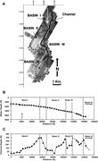 Second thumbnail for: Depositional Turbidity Currents in Diapiric Miniba...