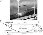 Third thumbnail for: Depositional Turbidity Currents in Diapiric Miniba...