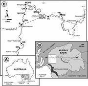 First thumbnail for: Brachiopods in Epeiric Seas as Monitors of Secular...