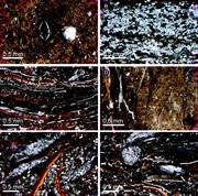 Second thumbnail for: Iron(III)-Reduction in a Low-Organic-Carbon Bracki...