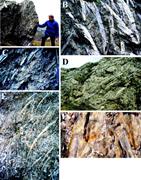 Third thumbnail for: Cyclonic Brine-Flow Pattern Recorded by Oriented G...