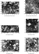 Second thumbnail for: Automated Analysis of Imbrication and Flow Directi...