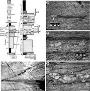 Third thumbnail for: Iron Formation in Neoarchean Deltaic Successions a...