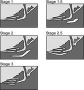Third thumbnail for: Climate Forcing in a Wave-Dominated Delta: The Eff...