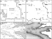 First thumbnail for: Numerical Modeling of Tides in the Late Pennsylvan...