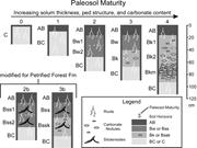 Third thumbnail for: Continental Sequence Stratigraphy of the Upper Tri...