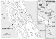 Second thumbnail for: Process-Like Modeling of Flank-Margin Caves: From ...