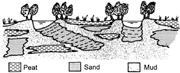 Second thumbnail for: Recognition of the Sedimentary Architecture of Dry...