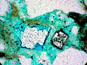 Second thumbnail for: Stability of Detrital Heavy Minerals on the Norweg...
