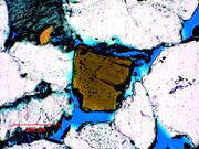 Third thumbnail for: Stability of Detrital Heavy Minerals on the Norweg...