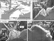 First thumbnail for: Tidal Controls on the Morphology and Sedimentology...
