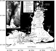 Second thumbnail for: Seaward-Branching Coastal-Plain and Piedmont Incis...