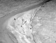 Third thumbnail for: Meander-Bend Evolution, Alluvial Architecture, and...