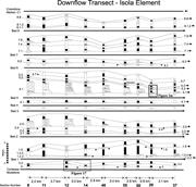 Third thumbnail for: Evolution of Turbidity Currents Deduced from Exten...