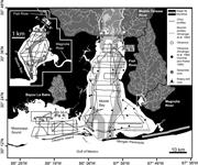 Second thumbnail for: Control of Upstream Variables on Incised-Valley Di...