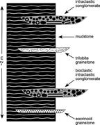 Second thumbnail for: Tsunamis in a Stormy Sea: Middle Cambrian Inner-Sh...