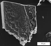 Second thumbnail for: A Comparison of Nanometer-Scale Growth and Dissolu...