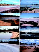 Third thumbnail for: Sedimentology of Acid Saline Lakes in Southern Wes...