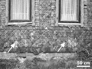 Second thumbnail for: Organic Matter in Black Slate Shows Oxidative Degr...