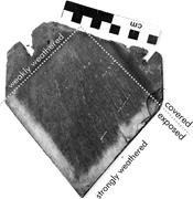 Third thumbnail for: Organic Matter in Black Slate Shows Oxidative Degr...