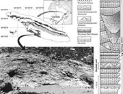 First thumbnail for: Diagenetic Versus Biotic Accretionary Mechanisms o...