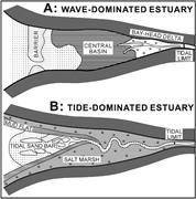 First thumbnail for: Up-Estuary Variation of Sedimentary Facies and Ich...