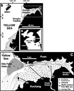 Second thumbnail for: Up-Estuary Variation of Sedimentary Facies and Ich...