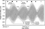 Third thumbnail for: Up-Estuary Variation of Sedimentary Facies and Ich...