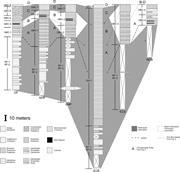 Third thumbnail for: Carbonate Deposition During a Time of Mid-Latitude...