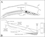 Second thumbnail for: Anatomy and Dynamics of a Floodplain, Powder River...