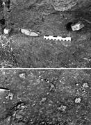 Third thumbnail for: On Using Carbon and Oxygen Isotope Data from Glend...