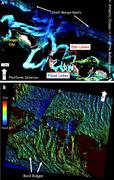 Third thumbnail for: Interactions Between Tidal Flows and Ooid Shoals, ...