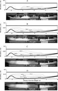 Third thumbnail for: Numerical Investigation of Turbidity Currents Flow...