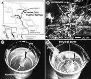 First thumbnail for: Experimental Precipitation of Barite (BaSO 4) Amon...