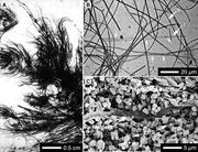 Second thumbnail for: Experimental Precipitation of Barite (BaSO 4) Amon...