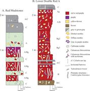 Third thumbnail for: Paleoclimatic Implications of Crayfish-Mediated Pr...