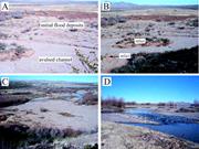 Third thumbnail for: Modern Flood Deposition, Erosion, and Fan-Channel ...