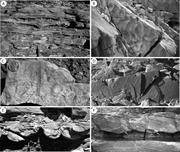 Third thumbnail for: Deposits from Wave-Influenced Turbidity Currents: ...