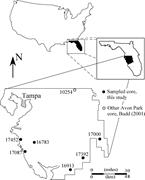 Second thumbnail for: Retention of High Permeability During Shallow Buri...