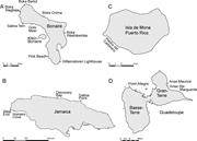 Third thumbnail for: Coarse-Clast Ridge Complexes of the Caribbean: A P...