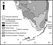 First thumbnail for: Full-Resolution 3D Radar Stratigraphy of Complex O...