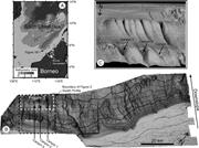 First thumbnail for: Constructional Canyons Built by Sheet-Like Turbidi...