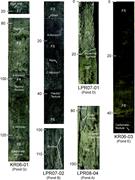 Third thumbnail for: Insights on a Proposed Mid-Holocene Highstand Alon...