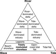 First thumbnail for: Tidally Modulated Shorefaces
