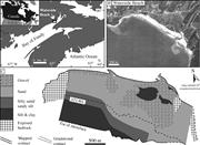 Second thumbnail for: Tidally Modulated Shorefaces